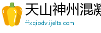 天山神州混凝土有限责任公司